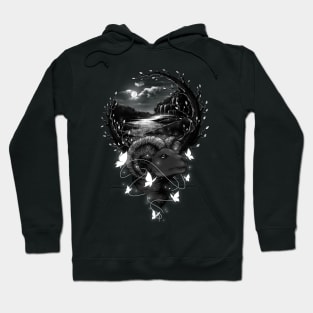 Night Lights Hoodie